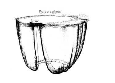 apa itu pukat cincin